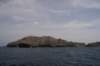 nz2072_small.jpg