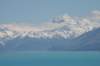 nz207_small.jpg