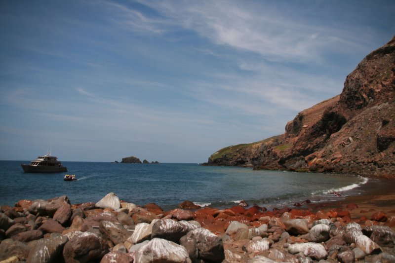 nz2103.jpg