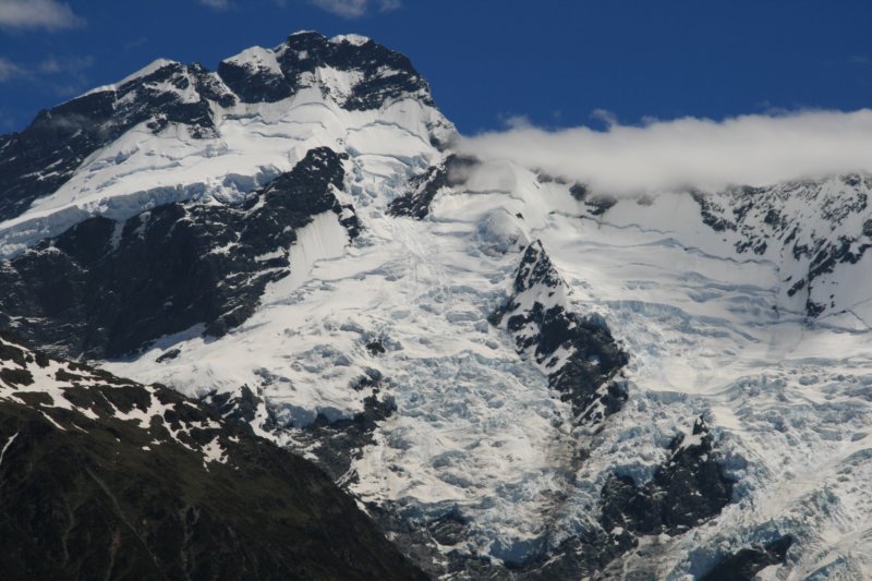 nz211.jpg