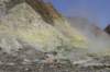 nz2122_small.jpg