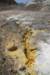 nz2128_small.jpg