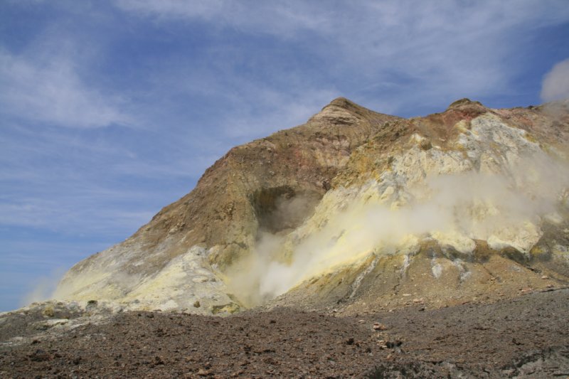 nz2145.jpg