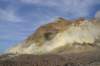 nz2145_small.jpg