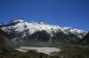 nz215_small.jpg