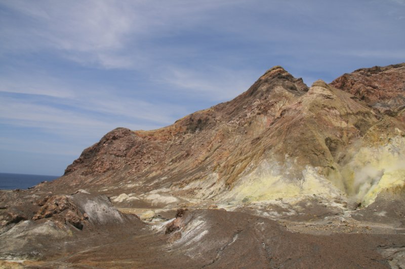 nz2179.jpg