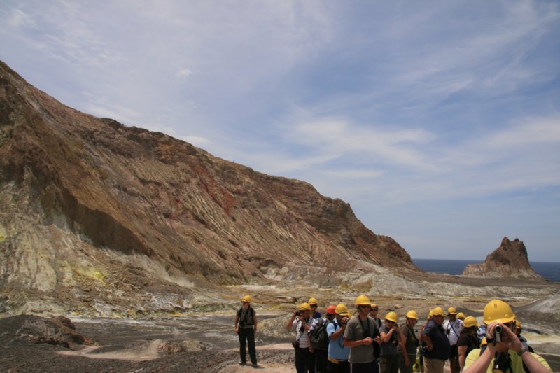 nz2181.jpg