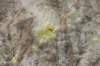 nz2192_small.jpg