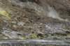 nz2193_small.jpg