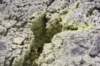nz2204_small.jpg