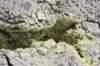 nz2205_small.jpg