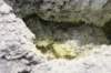 nz2206_small.jpg