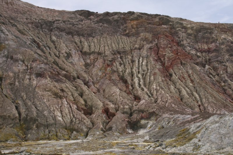 nz2207.jpg