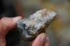 nz2209_small.jpg