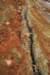 nz2217_small.jpg