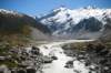 nz221_small.jpg