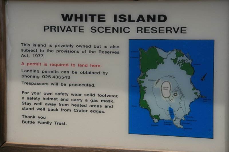 nz2226.jpg