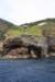 nz2237_small.jpg