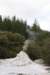 nz2274_small.jpg