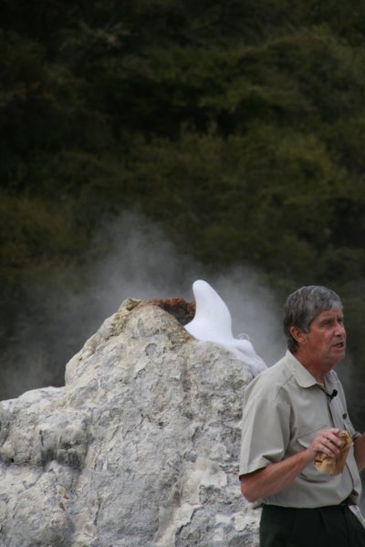 nz2284.jpg
