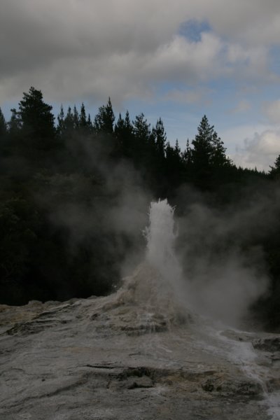 nz2289.jpg