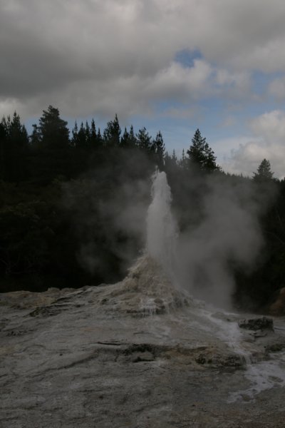 nz2290.jpg