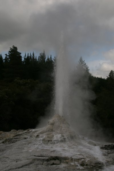 nz2292.jpg