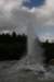 nz2293_small.jpg