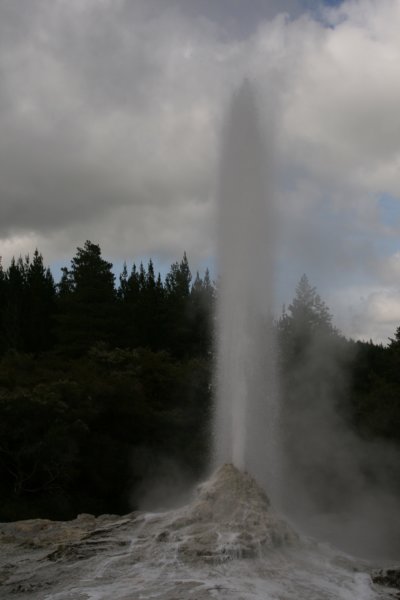 nz2294.jpg