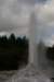 nz2294_small.jpg
