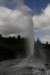 nz2295_small.jpg