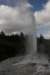 nz2296_small.jpg