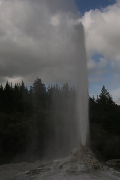 nz2297.jpg