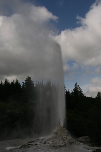 nz2298.jpg