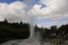 nz2304_small.jpg