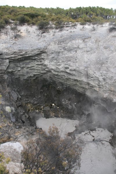 nz2317.jpg