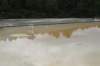 nz2320_small.jpg