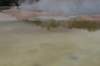 nz2321_small.jpg