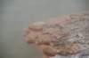 nz2336_small.jpg