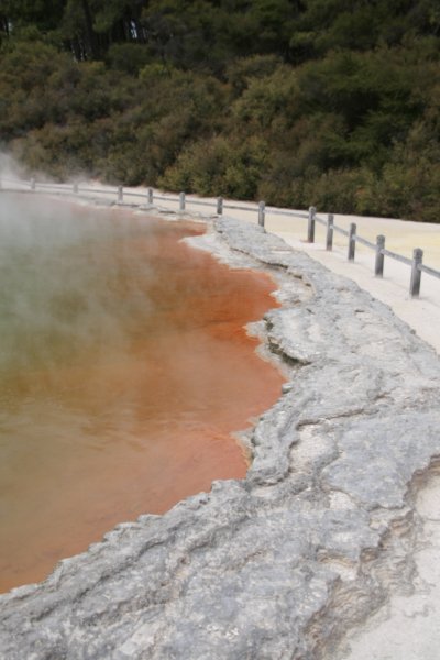 nz2337.jpg