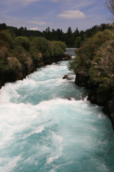 nz2344.jpg