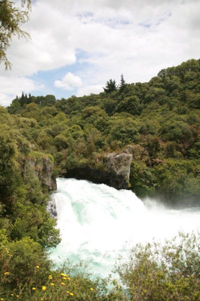 nz2352.jpg