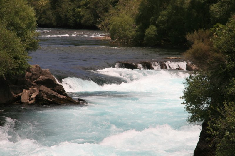 nz2356.jpg