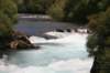 nz2356_small.jpg