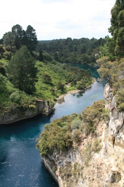 nz2362.jpg