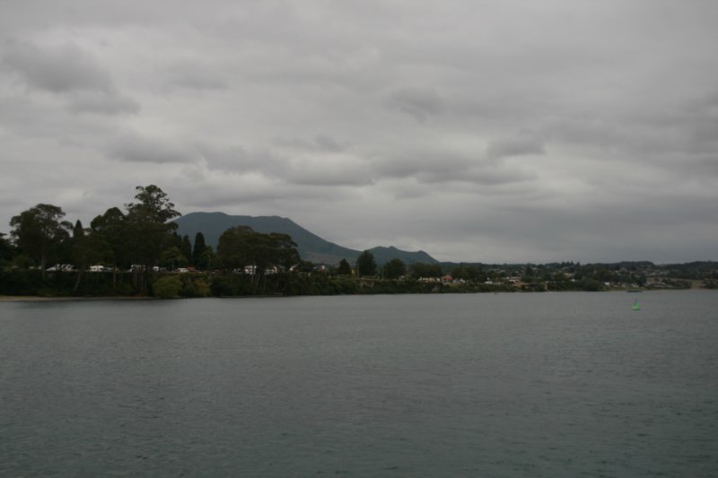 nz2374.jpg