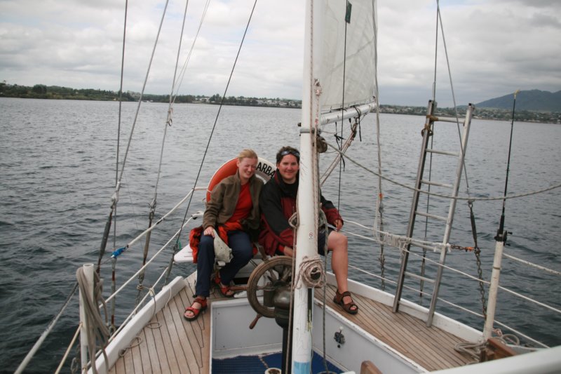 nz2379.jpg