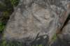 nz2393_small.jpg