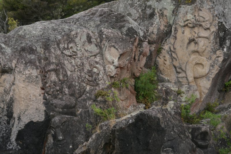 nz2394.jpg
