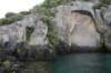 nz2395_small.jpg
